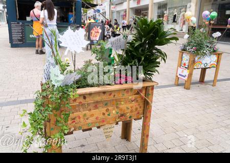 Bromley Londres Royaume-Uni. 28th juin 2023. Le concours Bromley Floral Fest 2023 est en cours à Bromley Hight Street. Les parents et les enfants de l'école visitent l'exposition florale de leur école créée dans le jardinier, qui sont tous ouverts au vote public pour choisir un gagnant. Credit: Xiu Bao/Alamy Live News Banque D'Images