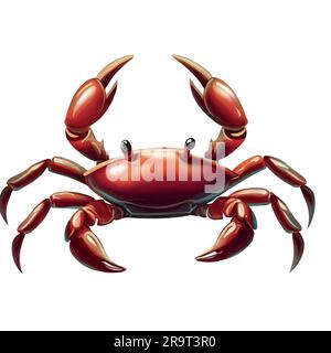 illustration de crabe sur une toile blanche Illustration de Vecteur