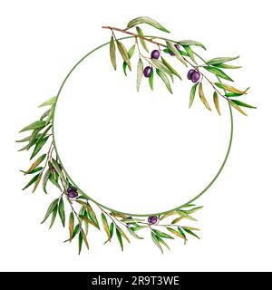 Couronne d'aquarelle de branches d'olive avec fruits. Bordure de cercle floral peinte à la main avec fruits d'olive et branches d'arbre isolées sur fond blanc. Pour Banque D'Images