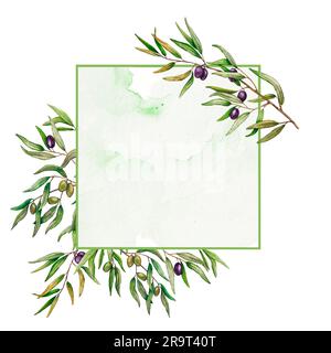 Cadre avec branches d'olive et baies vertes et noires. Motif fleuri peint à la main. Modèle de message d'accueil pour mariage de conception, papeterie, salutations, wallpa Banque D'Images