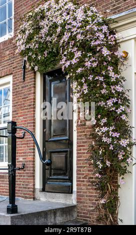 porte décorative avec fleurs de clématis qui poussent au-dessus de l'entrée Banque D'Images