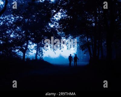 Deux pèlerins sont vus marcher au milieu de la forêt pendant le lever du soleil. Le Camino de Santiago (le chemin de Saint James) est un grand réseau d'anciens itinéraires de pèlerin qui s'étendent à travers l'Europe et se rassemblent au tombeau de Saint James (Saint-Jacques en espagnol) à Saint-Jacques-de-Compostelle, dans le nord-ouest de l'Espagne. Le Camino Primitivo est l'itinéraire de pèlerinage original et le plus ancien. Il relie Oviedo à Saint-Jacques-de-Compostelle. Il est caractérisé comme étant l'une des routes difficiles mais aussi pour être l'une des routes jacoïen les plus attrayantes. En 2015, il a été classé au patrimoine mondial par l'UNESCO, avec Banque D'Images