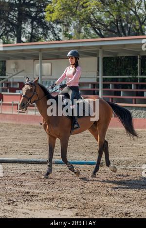 Image verticale d'une jeune femme qui est à cheval tout en prenant des leçons dans un centre équestre Banque D'Images