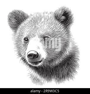 Joli animal ours cub face dessin main dans l'illustration de style Doodle Illustration de Vecteur