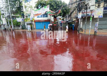 Dhaka, Bangladesh. 29th juin 2023. Les gens se sont emparés d'une route qui a tourné rouge après que le sang des animaux sacrifiés sur Eid Al Adha mélangé avec de l'eau provenant de fortes pluies à Dhaka, au Bangladesh, au 29 juin 2023. (Credit image: © Suvra Kanti Das/ZUMA Press Wire) USAGE ÉDITORIAL SEULEMENT! Non destiné À un usage commercial ! Banque D'Images