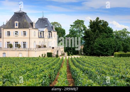 Vue sur les vignobles jusqu'au Château de Meursault Meursault Beaune Côte-d'Or France Banque D'Images