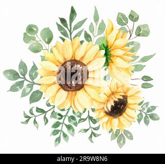 bouquet de tournesol aquarelle composition peinte à la main Banque D'Images
