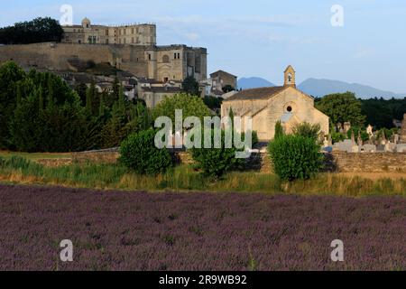 De l'autre côté du champ de lavande jusqu'aux châteaux de la Drome Grignan Nyons Drome France Banque D'Images