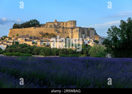 De l'autre côté du champ de lavande jusqu'aux châteaux de la Drome Grignan Nyons Drome France Banque D'Images