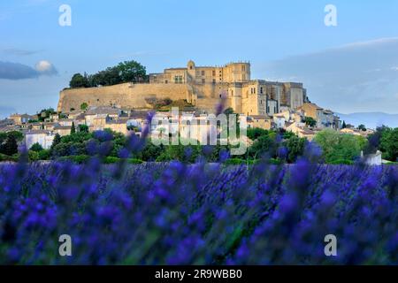 De l'autre côté du champ de lavande jusqu'aux châteaux de la Drome Grignan Nyons Drome France Banque D'Images