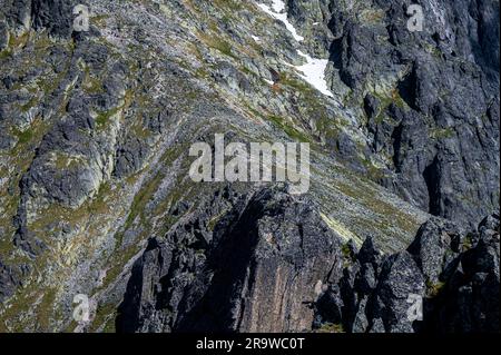 Un paysage de montagne exceptionnel des Hautes Tatras. Le col de Lomnicka, Lomnicke sedlo, Slovaquie. Banque D'Images