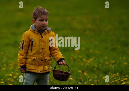 Un enfant avec un panier se tient dans un champ de pissenlits. Banque D'Images