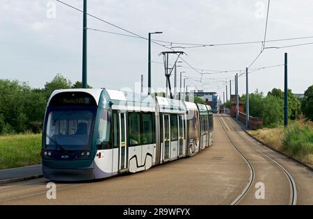 Tramway Nottingham Express, arrêt de village de Wilford, Nottingham, Nottinghamshire, Angleterre Royaume-Uni Banque D'Images