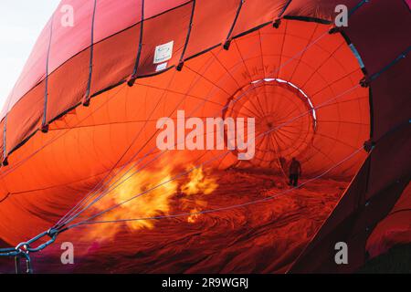 Vol en montgolfière au-dessus de Trakai. Gonfler le ballon d'air chaud dans un champ vert avant le vol au-dessus de Trakai, Vilnius, Lituanie Banque D'Images