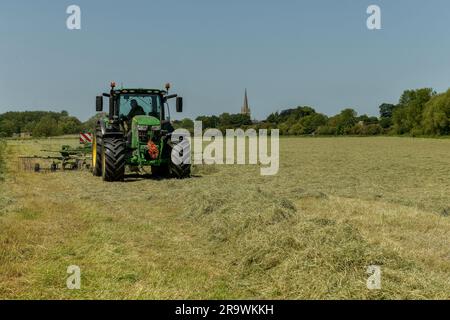 Foin de faire Banque D'Images