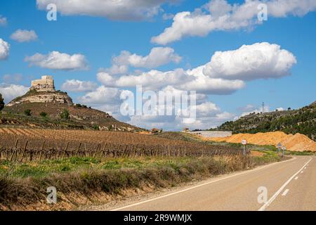 Vignobles autour du vrai Castillo de Curiel dans la zone de dénomination d'origine de Ribera del Duero dans la province de Valladolid en Espagne Banque D'Images