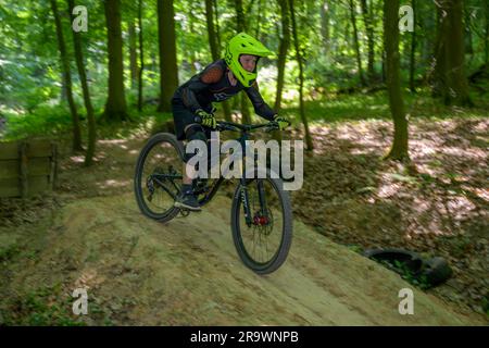 Motard de montagne, motard de descente saute sur une rampe sur un sentier de descente, Gudensberg, Hesse, Allemagne Banque D'Images