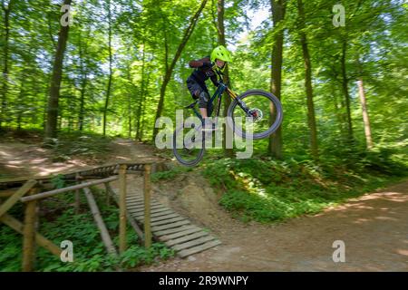 Motard de montagne, motard de descente saute sur une rampe sur un sentier de descente, Gudensberg, Hesse, Allemagne Banque D'Images