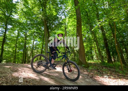 Motard de montagne, motard de descente, dans la forêt, sentier de descente, Gudensberg, Hesse, Allemagne Banque D'Images