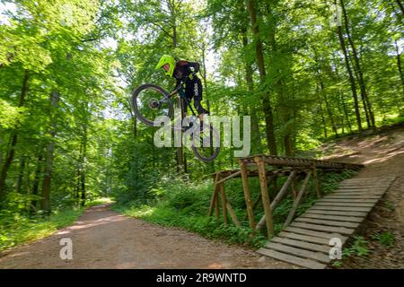 Motard de montagne, motard de descente saute sur une rampe sur un sentier de descente, Gudensberg, Hesse, Allemagne Banque D'Images