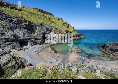 Vue sur Tintagel Haven, en dessous du château de Tintagel avec la légendaire grotte de Merlins, qui peut être visité à marée basse, Cornouailles du Nord, Angleterre, Great Banque D'Images