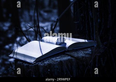 Un livre mystérieux reste sur le tronc d'arbre avec une pierre sur une page. La lune illumine la forêt Banque D'Images