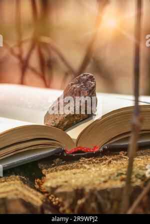 Un livre placé sur un tronc d'arbre avec une pierre sur une page est illuminé par un soleil fort et chaud Banque D'Images