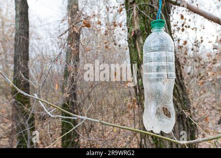 Bouteille en plastique, de l'arborescence, utilisé comme chargeur pour les oiseaux en hiver Banque D'Images