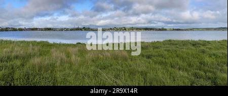 Lac Panorama, Lough Rea, Loughrea, Galway, Irlande Banque D'Images