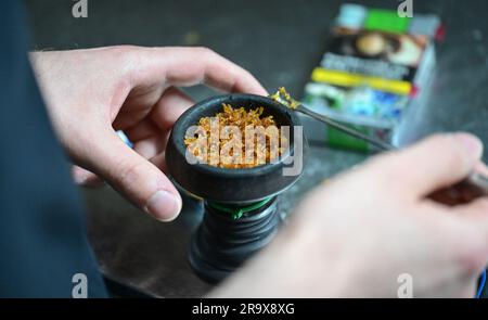 Sindelfingen, Allemagne. 29th juin 2023. Un tuyau d'eau de nargua est rempli de tabac dans un bar de nargua. Les bars de shisha dominent de plus en plus le paysage urbain dans de nombreuses villes. Mais le marché du narguilé souffre de trop de règles et de bureaucratie, critiquant les jeunes libéraux du Bade-Wurtemberg. (À dpa "les jeunes libéraux critiquent la bureaucratie pour les barres de nargua") Credit: Bernd Weißbrod/dpa/Alamy Live News Banque D'Images