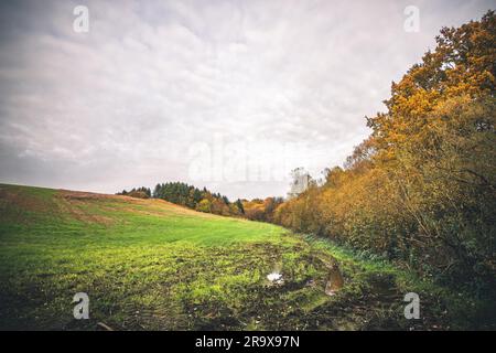 Terrain boueux avec une flaque d'eau à l'automne dans un environnement rural avec des arbres dans les couleurs de l'automne doré Banque D'Images