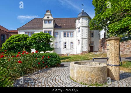 En face de la fontaine au Schulberg, dans la maison de mariage arrière, Renaissance, construit en 1578 comme une maison municipale, 1823-1992 école, aujourd'hui Banque D'Images