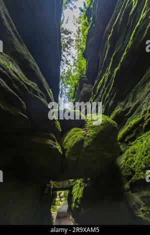 Porte rocheuse à Uttewalder Grund sur le chemin du peintre à travers la Suisse saxonne. Lohmen/Stadt Wehlen, Allemagne Banque D'Images