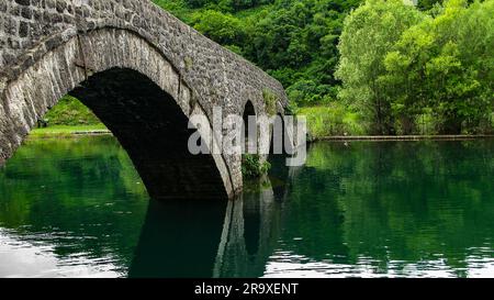 Ancien pont en pierre voûté sur le lac Skadar, monténégro Banque D'Images