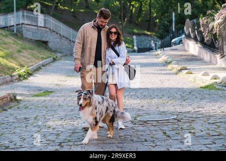 Jeune homme et femme marchant avec le magnifique collie australien dans la zone urbaine. Couple heureux avec leur animal de compagnie dans la ville, emportant chien en centre-ville Banque D'Images