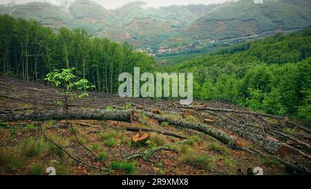 Trekking dans la vallée de Jerte, Espagne Banque D'Images