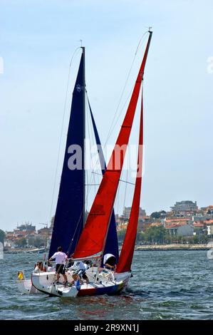 Régate sur le fleuve Douro à Vila Nova de Gaia, Portugal Banque D'Images