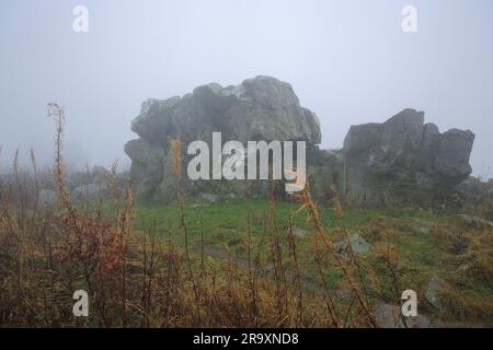 Roche légendaire de Brunhildis dans le brouillard sur le Großer Feldberg, Schmitten, Taunus, Hesse, Allemagne Banque D'Images