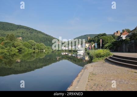 Quatre châteaux - Swalws Nest, Mittelburg, Hinterburg, Vorderburg - dans la ville à quatre châteaux de Neckarsteinach am Neckar, Odenwald, Neckar Valley, Baden Banque D'Images