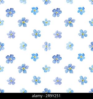 Motif aquarelle sans couture avec Forget Me Nots, illustration botanique, motif sur fond blanc Banque D'Images