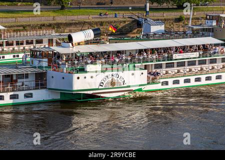 Bateau à aubes historique Dresde sur l'Elbe. À bord des touristes de jour. Promenade en bateau à vapeur est une attraction touristique populaire à Dresde et sur la rivière Elbe. Dresde, Allemagne. Dresde sur l'Elbe Banque D'Images