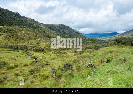 Paysage paramo en haute altitude et écosystème des Andes. Sumapaz Parque Nacional naturel. Colombie, Amérique du Sud. Banque D'Images