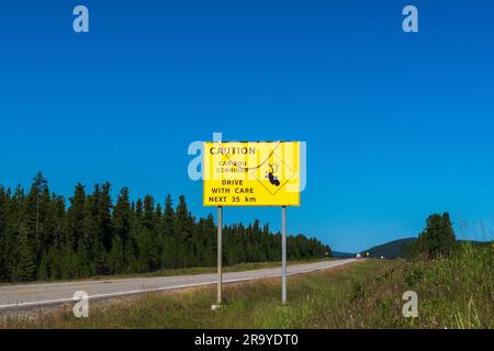 Zone de loisirs provinciale de Big Berland, Alberta / Canada - 9 AOÛT 2022 : un panneau de mise en garde avertit les automobilistes d'un corridor de caribous le long de la route de l'Alberta Banque D'Images