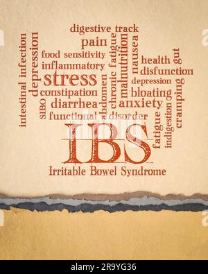 IBS - nuage de mots du syndrome de l'intestin irritable sur papier d'art, voie digestive et concept de santé intestinale Banque D'Images