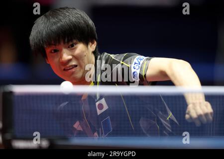 Zagreb, Croatie. 29th juin 2023. Shunsuke Togami du Japon concourt contre Hugo Calderano du Brésil pendant le concours WTT Zagreb 2023 hommes célibataires Round of 32 match à Dom Sportova à Zagreb, Croatie sur 29 juin 2023. Photo: Igor Kralj/PIXSELL crédit: Pixsell/Alay Live News Banque D'Images