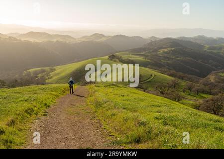 Randonneur solitaire sur un sentier le long d'une ridgeline descendante avec des collines de distance partiellement cachées dans le brouillard et la brume, Mt. Parc national de Diablo, Californie Banque D'Images