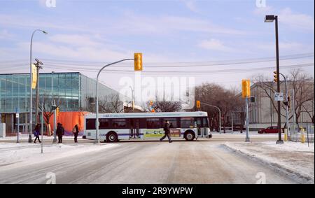 Winnipeg, Manitoba, Canada - 11 18 2014 : vue d'hiver le long du chemin Dafoe Ouest avec l'autobus de la route de la ville de Winnipeg se déplaçant le long du territoire de l'Université Banque D'Images