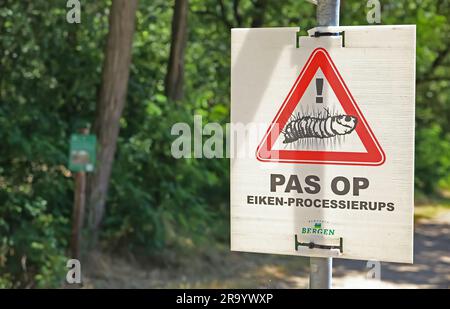 Limbourg, pays-Bas - 20 juillet. 2023: Gros plan du panneau d'avertissement en langue néerlandaise pour les papillons de nuit processionaires de chêne en forêt Banque D'Images