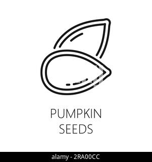 Icône représentant une graine de citrouille en forme de coquille blanche isolée. Grain de gourde vecteur, dessert alimentaire naturel, graine d'escouade alimentaire comestible riche en protéines Illustration de Vecteur