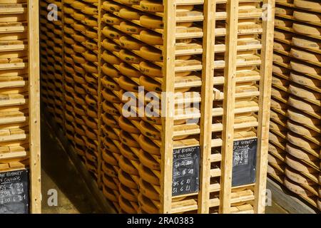 Fromage Comté affiné dans les caves de fort Saint-Antoine, près de Pontarlier, Franche-Comté, France Banque D'Images